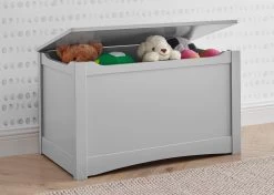 Delta Children Universal Toy Box